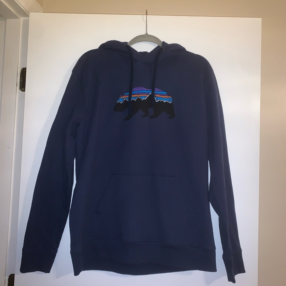 Mens Patagonia Hoodie